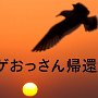 ここからが大変だった。朝焼けを見るために浜名湖西岸で寝ようと思ったのだが、○○浜と書いてあるところがほとんど小さなビーチで、細い民家の通りを入っていっても駐車場がない。